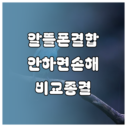 image b6205093