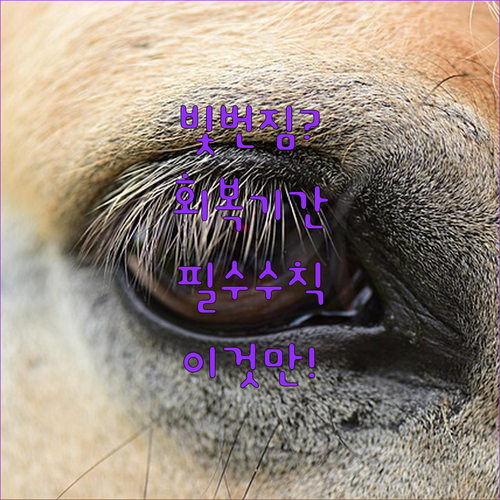 image df1cc1df