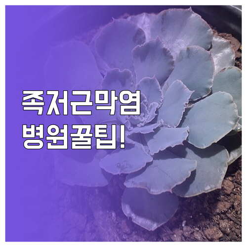 image fafbed46