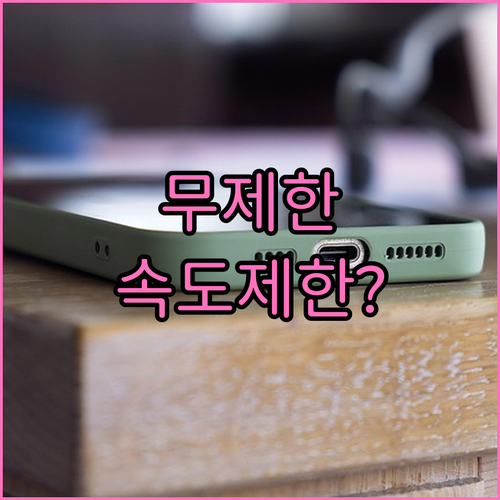 알뜰폰 데이터 요금제 무제한 속도 제한 확인